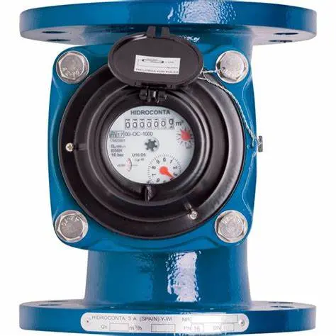 [Compteur DN80] Water meter DN 80